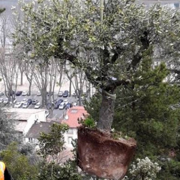 Vignette d'illustration