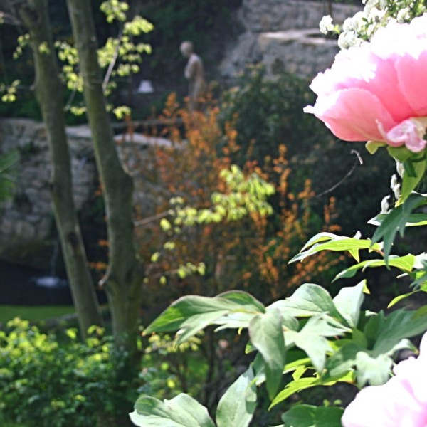 Vignette d'illustration