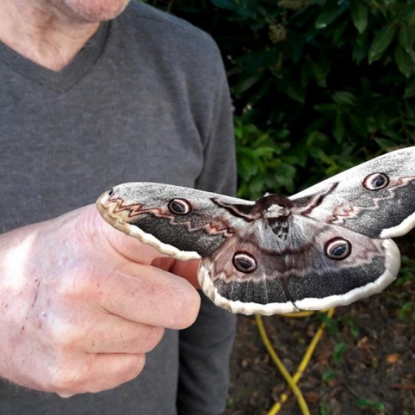 Vignette d'illustration