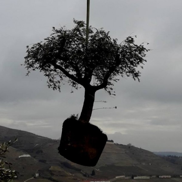 Vignette d'illustration